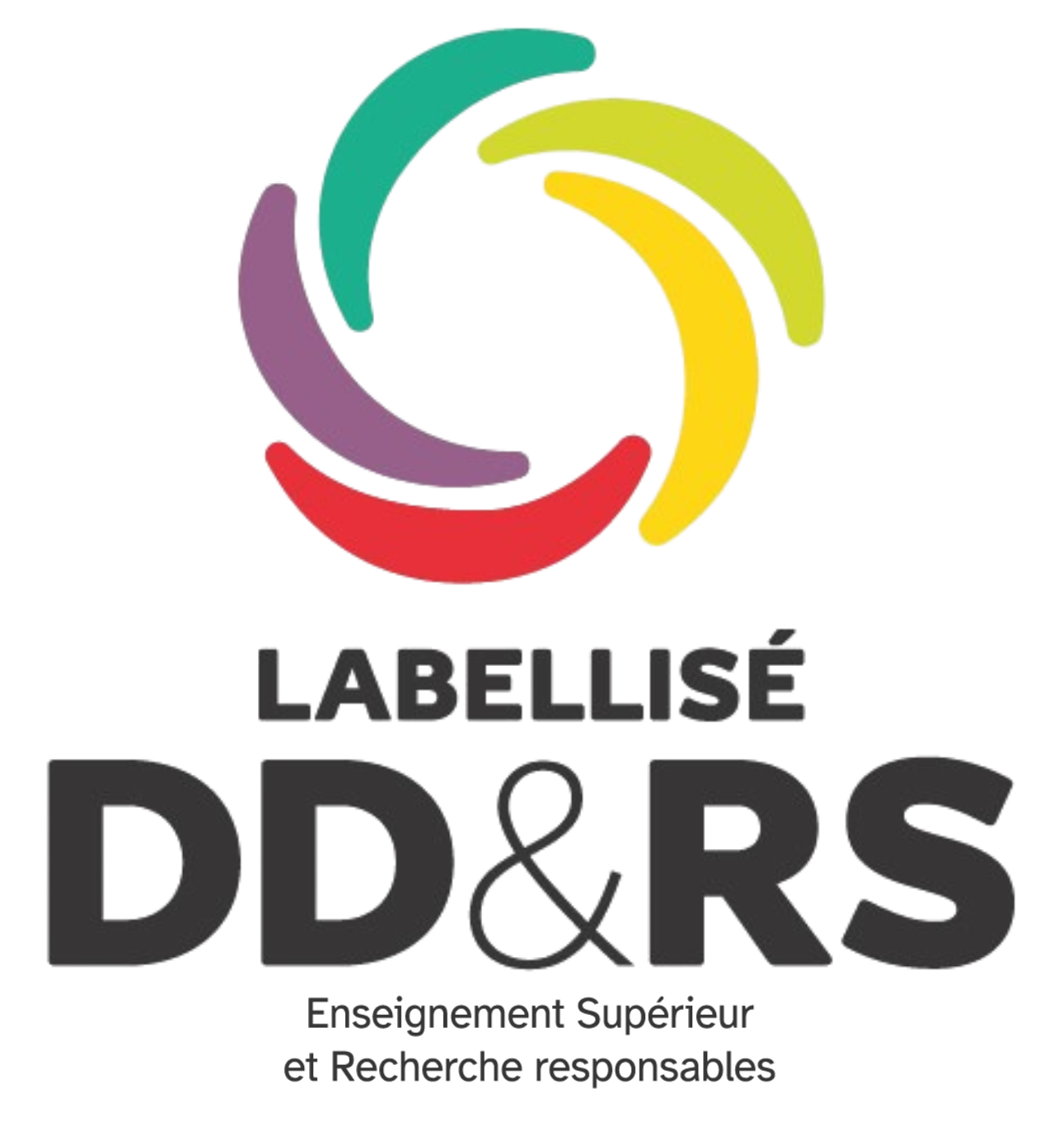 Développement durable et responsabilités sociétales (DD&RS)