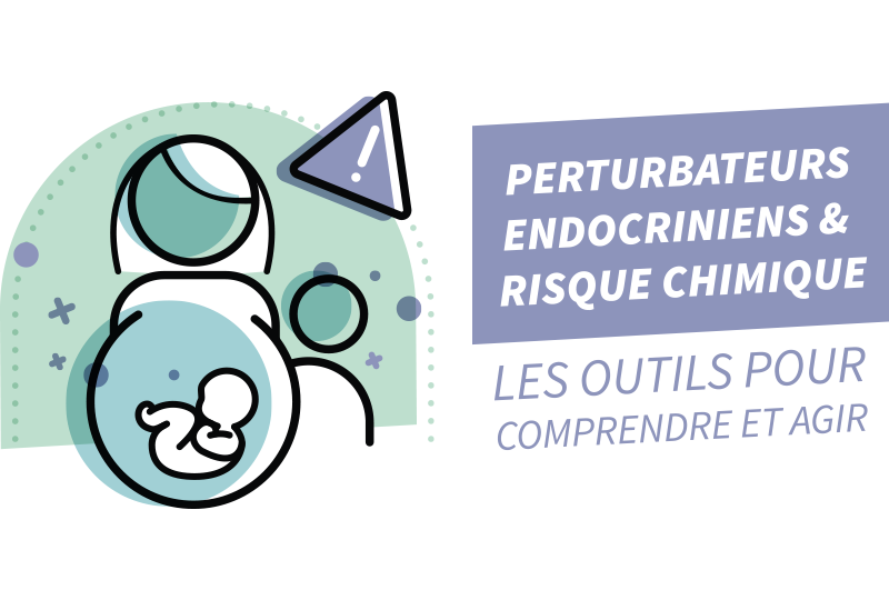 visuel Perturbateurs endocriniens visuel Perturbateurs endocriniens
