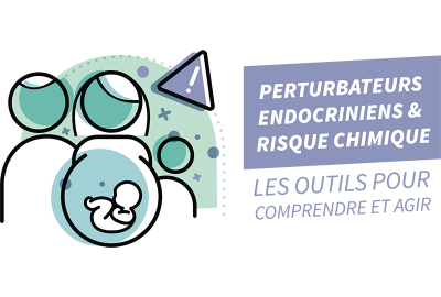 Inscrivez vous à la formation sur les perturbateurs endocriniens et le risques chimique autour de la périnatalité et de l'enfance à l'EHESP  
